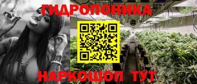 каннабис Кандалакша